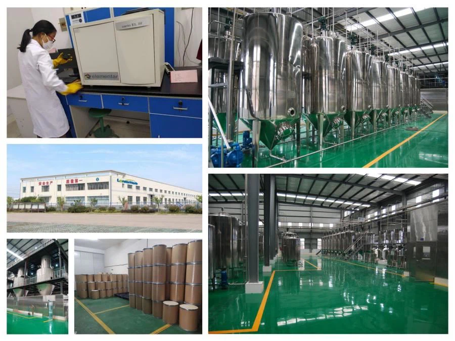 LonierHerb Factory 5