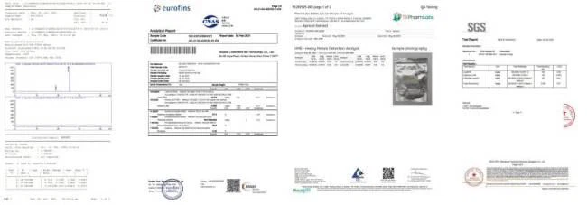 Test Report 2