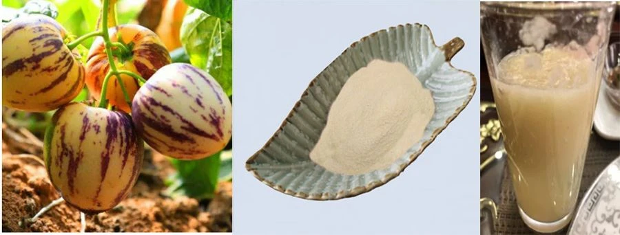 Ginseng Fruit Powder