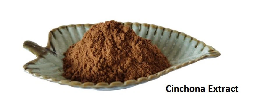 Cinchona Extract Supplier