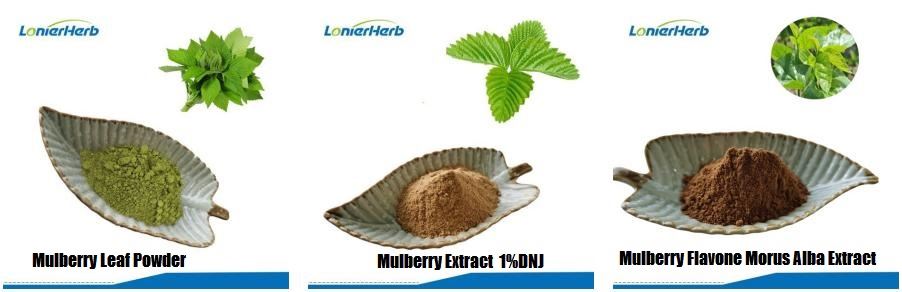 Mulberry Extract Powder