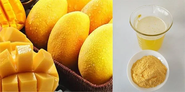 Wholesale Mango Fruit Powder