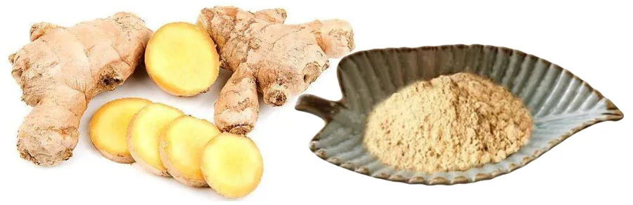 Ginger Root Powder Free Sample