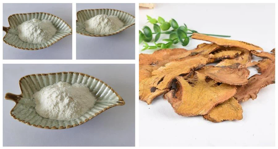 Polygonum Cuspidatum Extract, Resveratrol