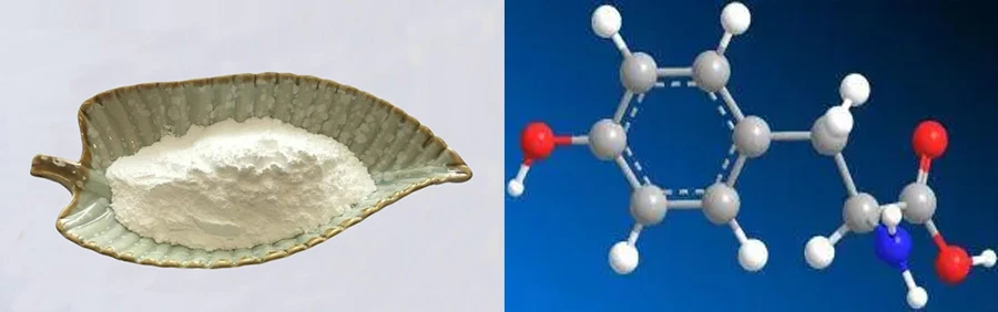 Tyrosine Powder Tyrosine Powder
