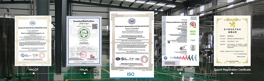 Certificate-3