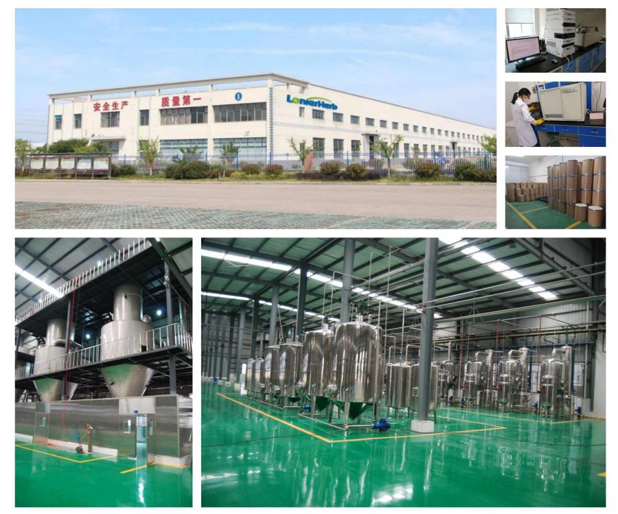 LonierHerb Factory 2 LonierHerb Factory 2