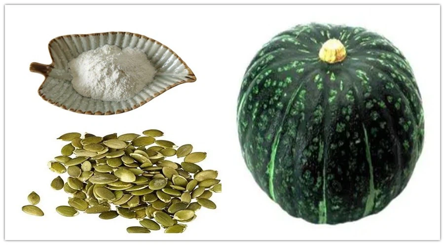 Pumpkin Seed Oil Powder Pumpkin Seed Oil Powder