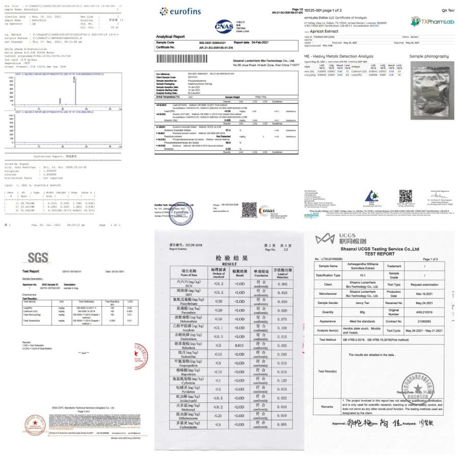 Test Report by Third Part 1 Test Report by Third Part 1