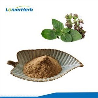 オレガノエキスパウダー