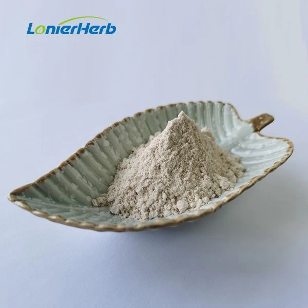 Odourless Garlic Extract Powder
