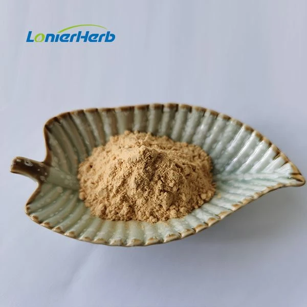 Sarsaparilla Extract