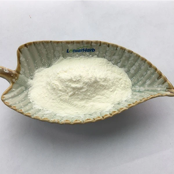 Instant Soy Milk Powder