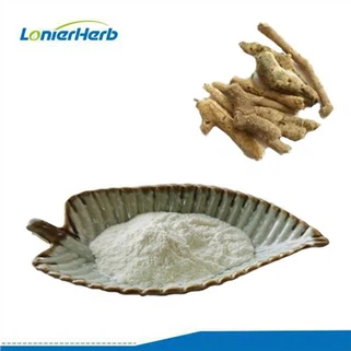 スポンジスポンジパウダー