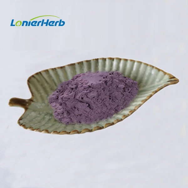 Blueberry Juice Powder