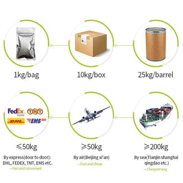 Ginkgo Biloba Extract Powder
