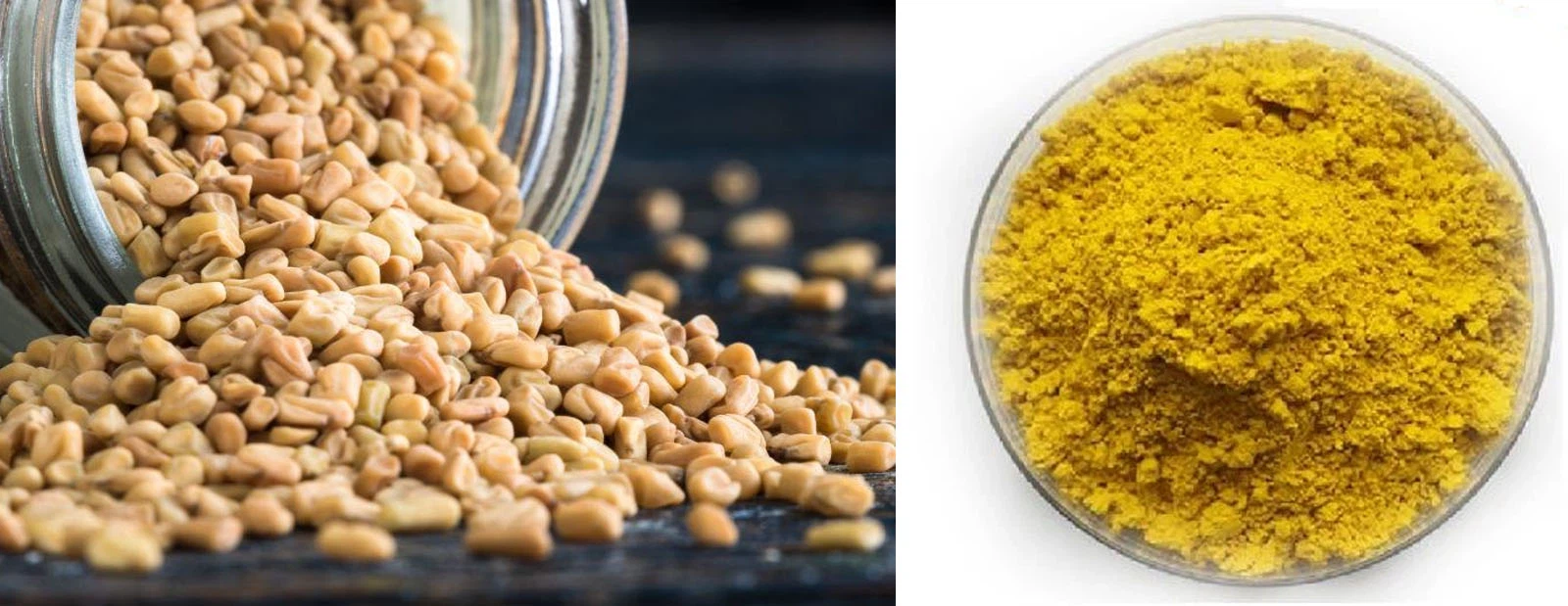 Lonierherb 4-Hydroxyisoleucine Lonierherb 4-Hydroxyisoleucine