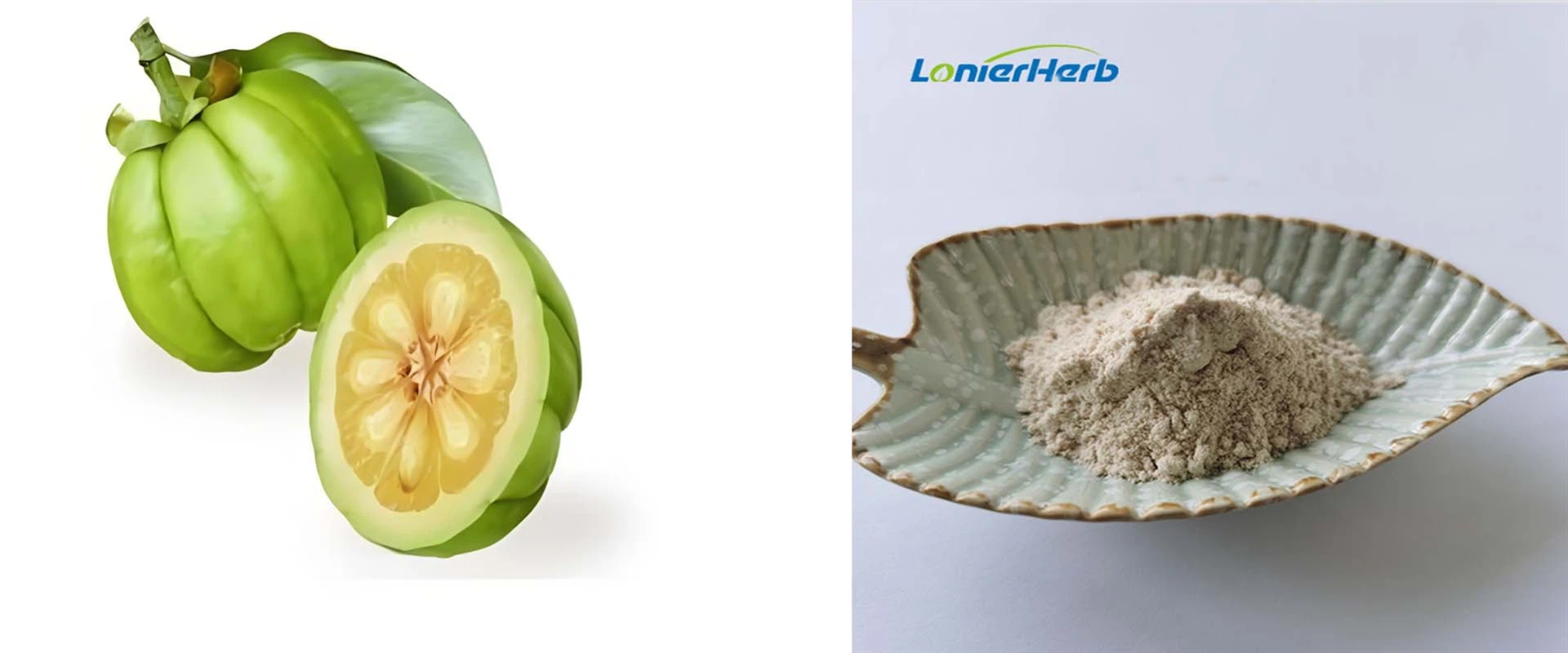 Garcinia Cambogia Extract Powder Garcinia Cambogia Extract Powder